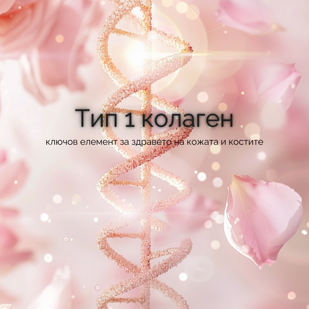 Тип 1 колаген – ключов елемент за здравето на кожата и костите