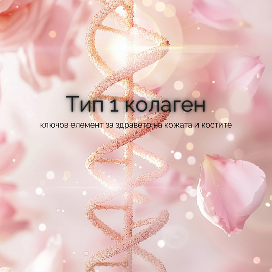 Тип 1 колаген – ключов елемент за здравето на кожата и костите