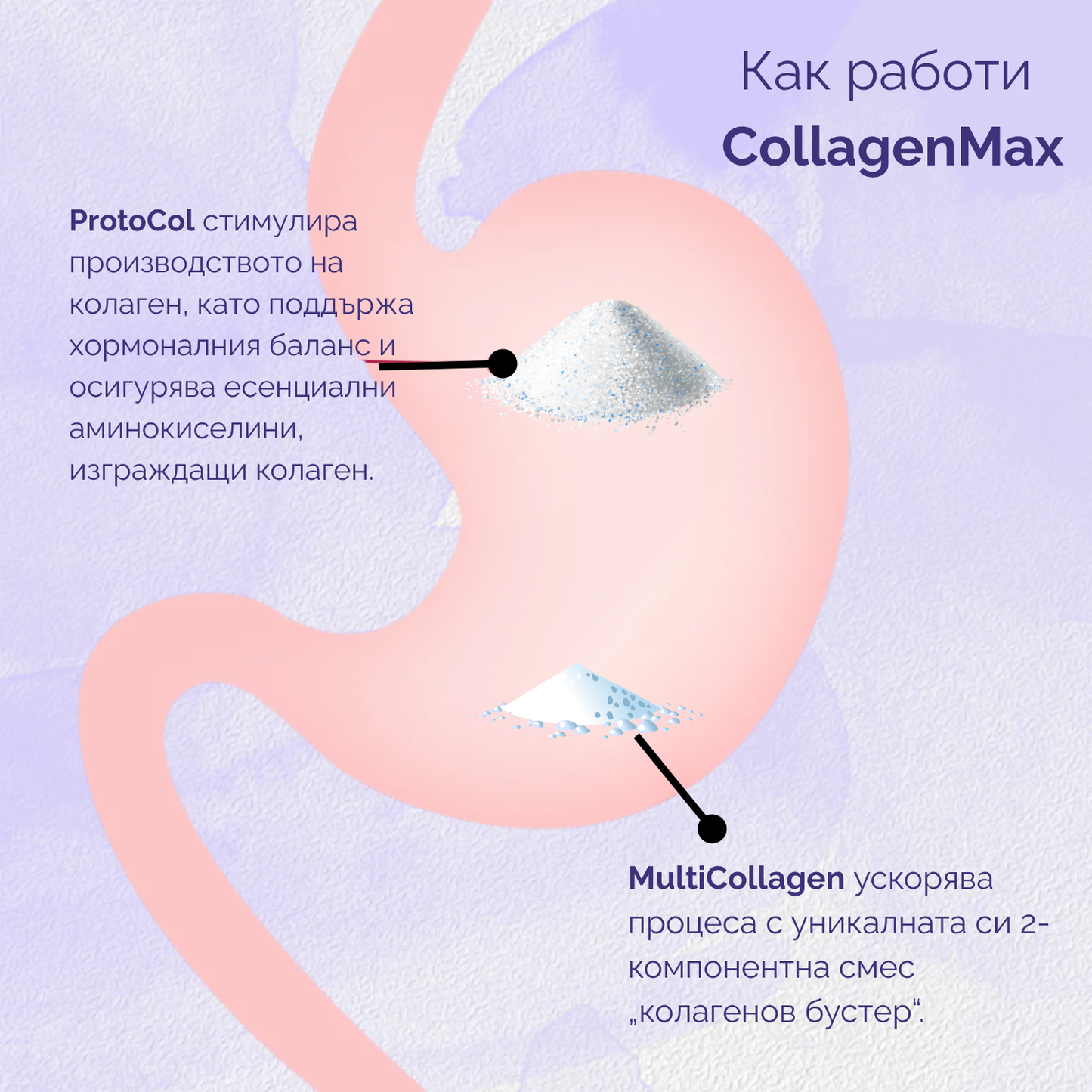 CollagenMax Bundle