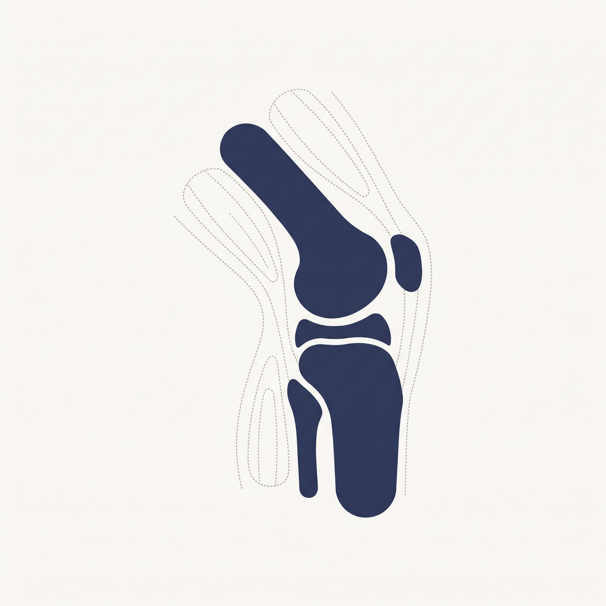 kolrank-m4-knee-muscle-dotted.png