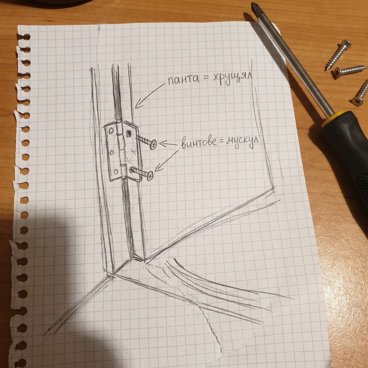 mz-mech-hinge-screws.jpg